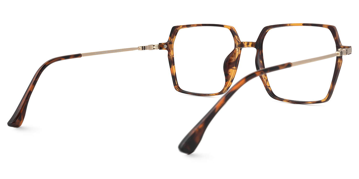 Jimenez Tortoise Rechteckig Brille2